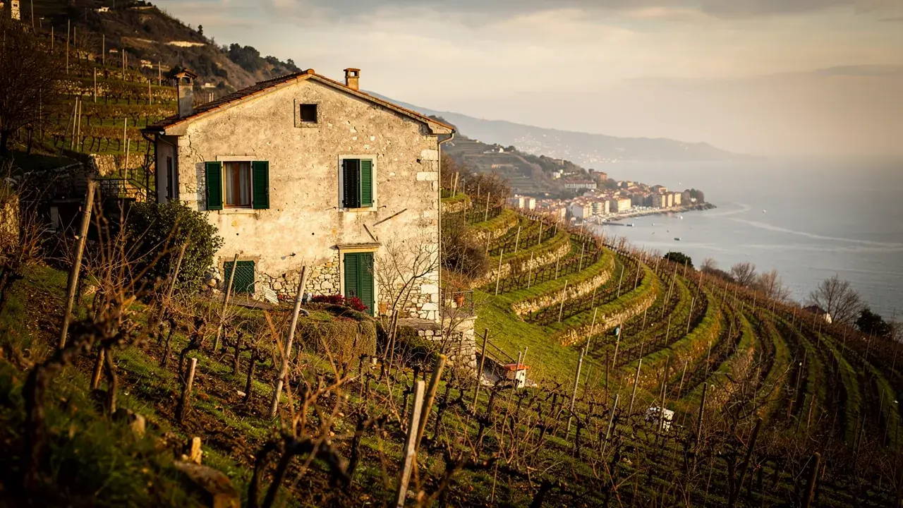 Maison fermée parmi les vignes en terrasses de Banyuls-sur-Mer